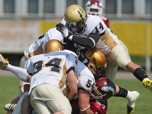 191915_590898_LION7155_c_10723803_display