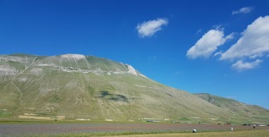 13781896_10209067343348307_8662281458893934981_n-1