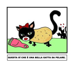 vignetta-gattadapelare-241015-1
